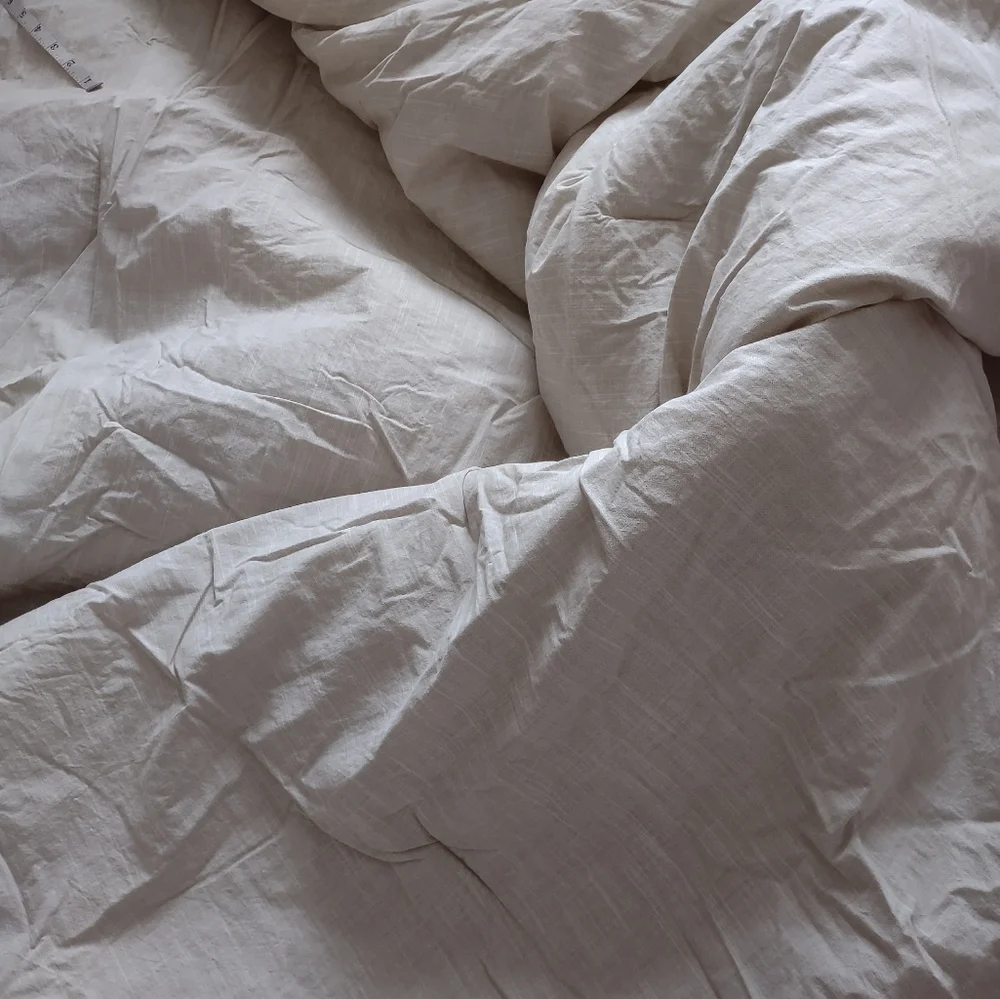 Tommy Bahama Cotton Tropical Palm Leaves Natural Green Beige Comforter